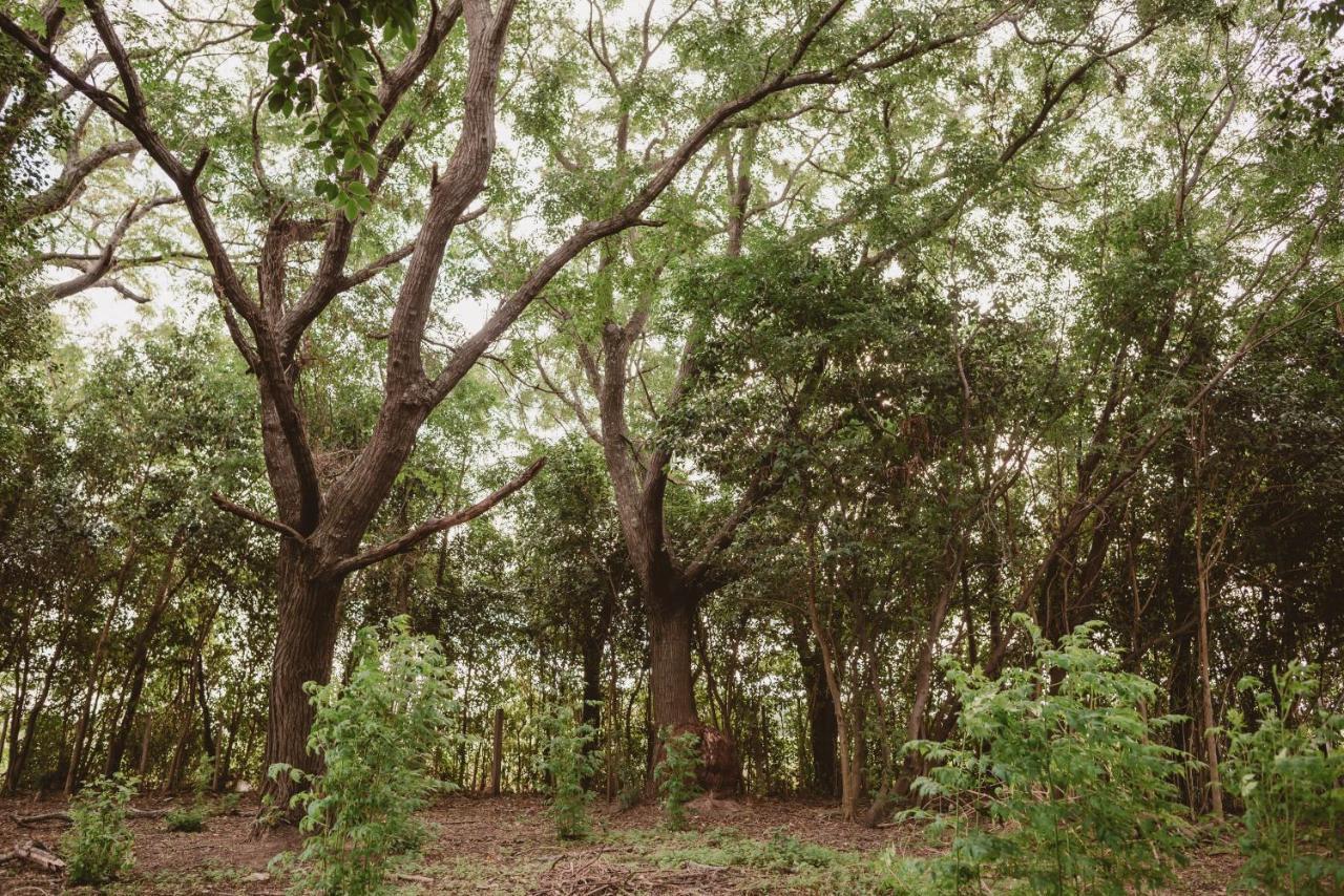 El Rincon - Casa De Campo Carmelo Esterno foto